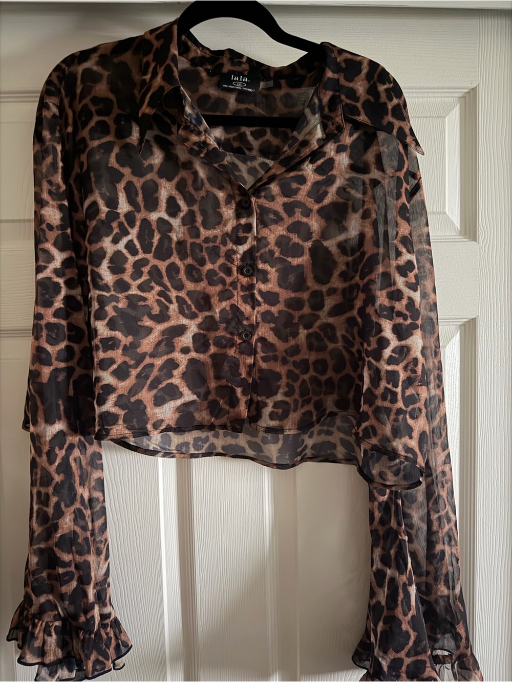 Dressed in LALA Leopard Sheer Crop Blouse - Brown & Black - Picture 3 of 4